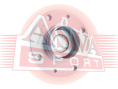 СТУПИЦА ЗАДНЯЯ PGWH-406RA29